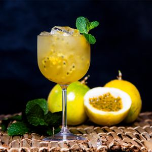 Taça de Gin 510ml Natural em Policarbonato - Linha Salut VEM